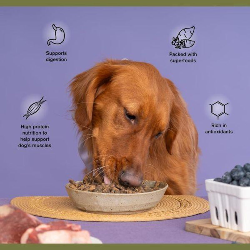 Beef & Bison Superfood Complete, Air-Dried Adult Dog Food - High Protein, Zero Fillers, Superfood Nutrition by Katherine Heigl (24 Oz)