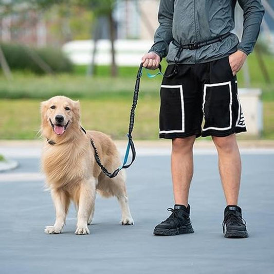Hands Free Dog Leash with Pouch and Dual Elastic Shock Absorbing Bands - XL Lazy Leash Pet Supplies